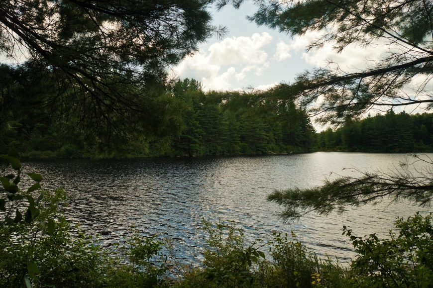 Allen Pond, Clare Nature Up North